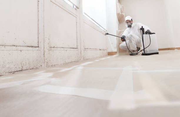 24/7 Emergency Mold Cleanup experts in Nokomis, IL