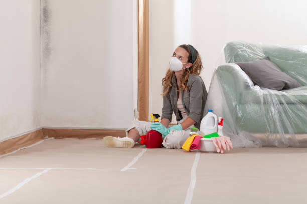 Reliable Mold Cleanup contractor in Nokomis, IL by WQB Mold Removal